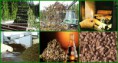 /album/galeria-de-fotos/biomassa-jpg1/